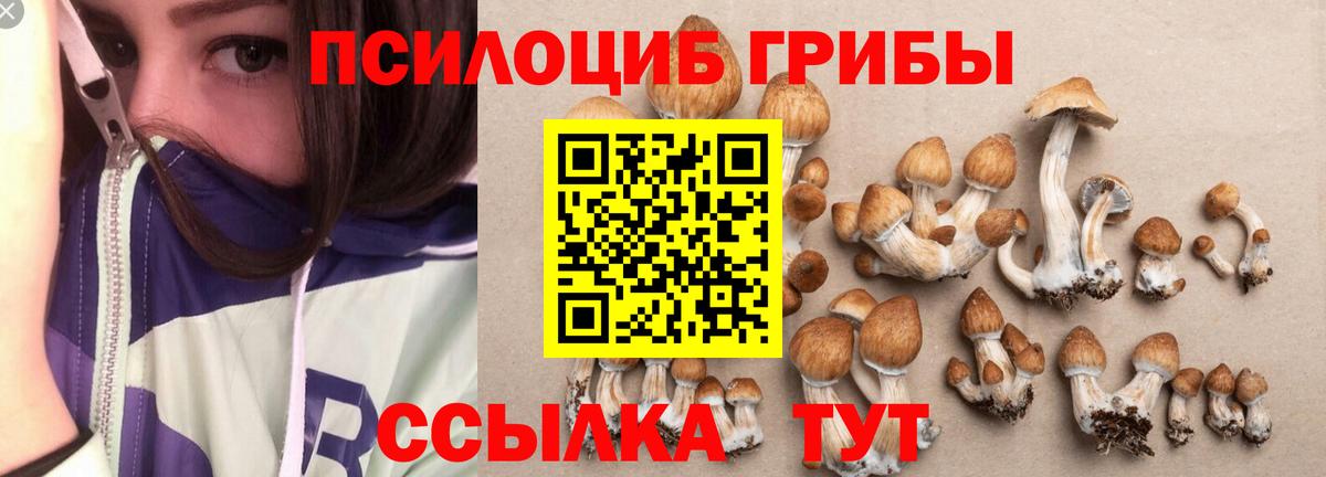 Мариинск  Галлюциногенные грибы мухоморы  Вход с VPN 